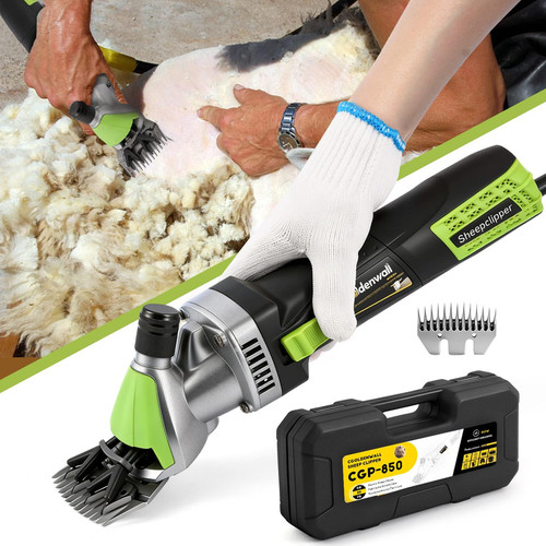 Cgoldenwall 850w sheep shears - sheep,