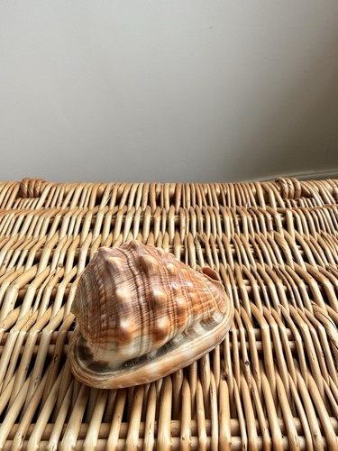 Vintage bullmouth helmet - vintage,
