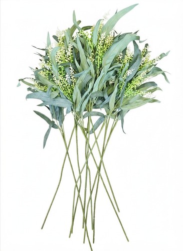 Weeping willow eucalyptus - weeping,