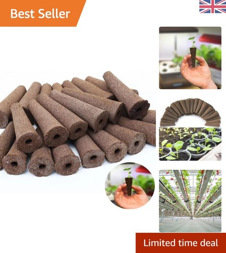 50pcs hydroponic seed - hydroponic,