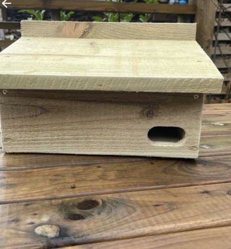Swift bird nest box house - bird,
