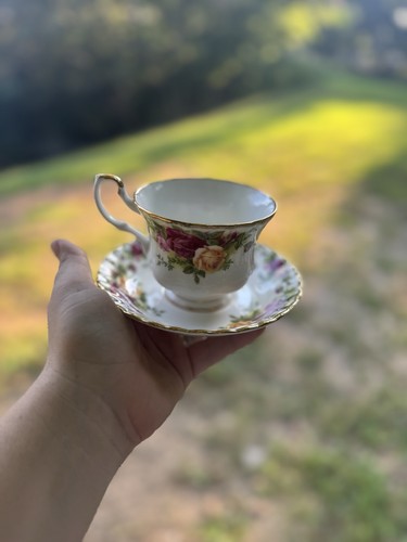 Royal albert old country - 'old,
