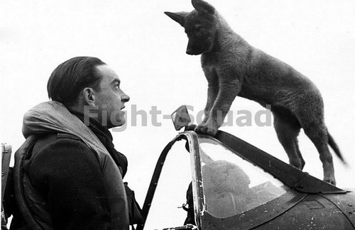 Ww2 photo raf spitfire pilot - spitfire,
