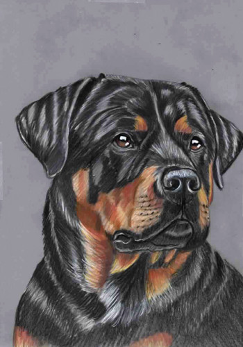 Original colour pencil artwork