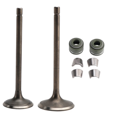 Intake exhaust valve kit for - exhaust,