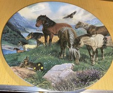 Davenport - Britain’s Wild