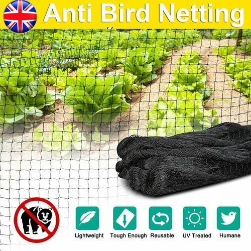 Anti bird garden - garden, netting