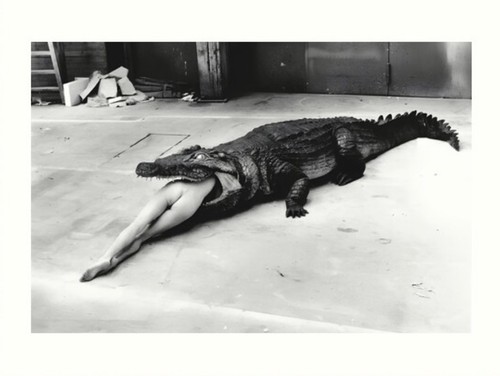 Helmut newton scene from - newton, a