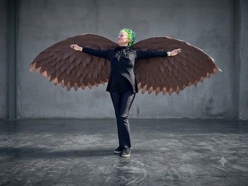 American bald eagle wings - bald,