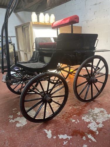 Wheel horse driving carriage - wheel,
