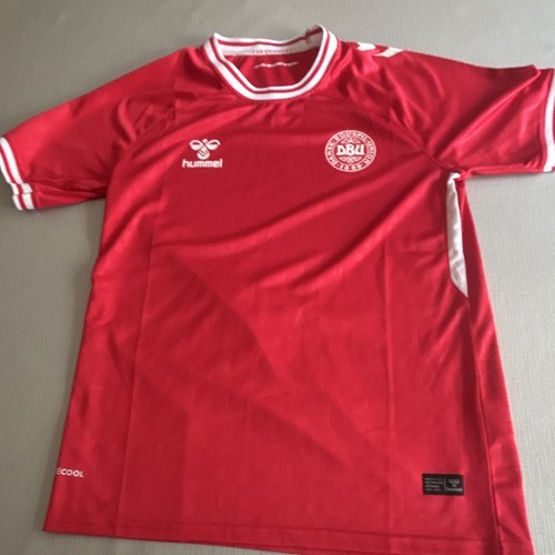 Denmark national team football - denmark,