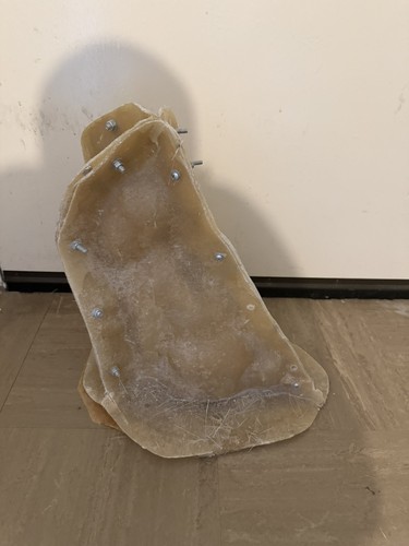 Latex fibreglass mould of - latex, &