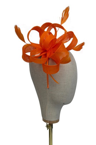 Fascinator hat feathers - fascinator,