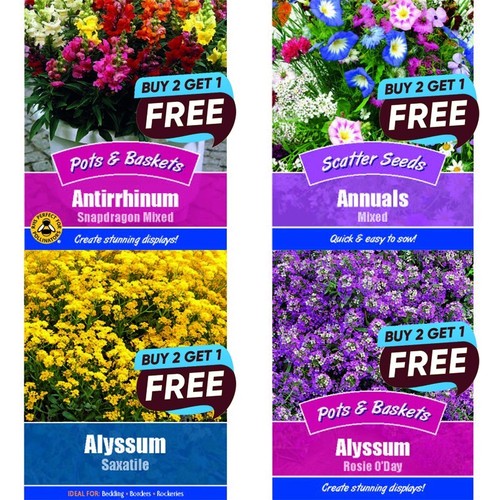 Flower seeds grow your own - seeds,