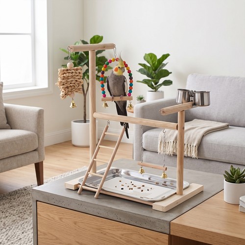 Wooden parrot play - parrot, perch