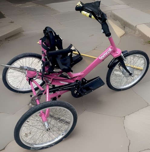 Tomcat fizz disability - fizz,