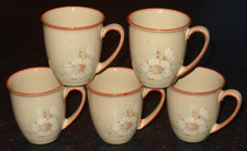 5 x DENBY DAYBREAK BEAKER