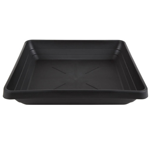Square saucer plant - square, black