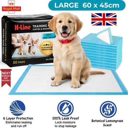 Heavy duty dog puppy large - duty,