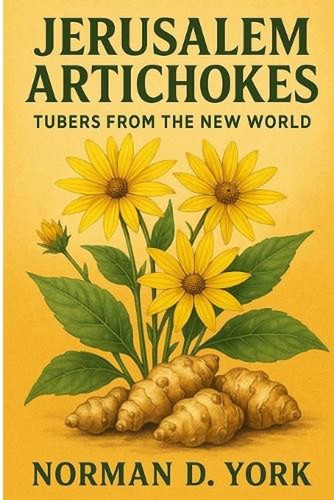 Jerusalem artichokes tubers - artichokes:,