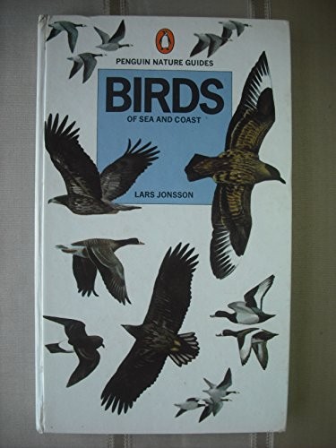 Birds sea and coast - and,