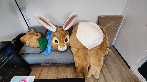 Peter rabbit lookalike mascot - peter,