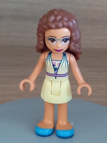 Lego friends minifigure - friends,