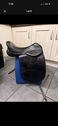 The saddle company - the, 17.5’