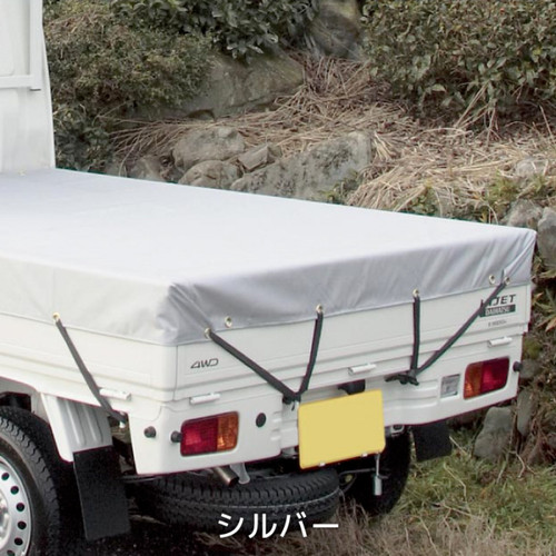 Bonform mini trucks - trucks, tonneau