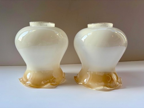 Pair vintage glass lamp shades - lamp,