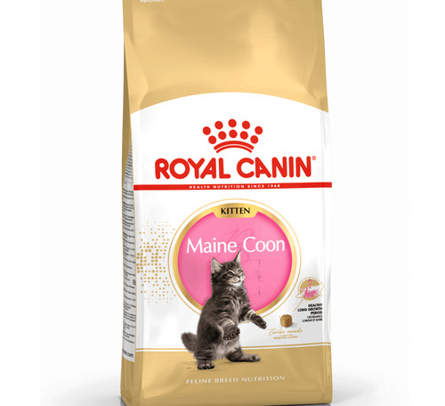 Royal canin maine - maine, kitten