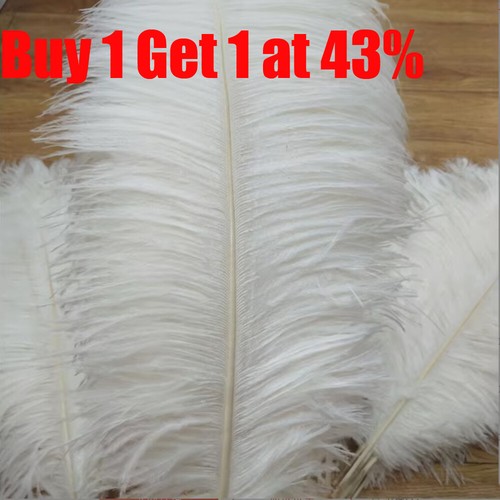 10x large ostrich feathers - 10x,