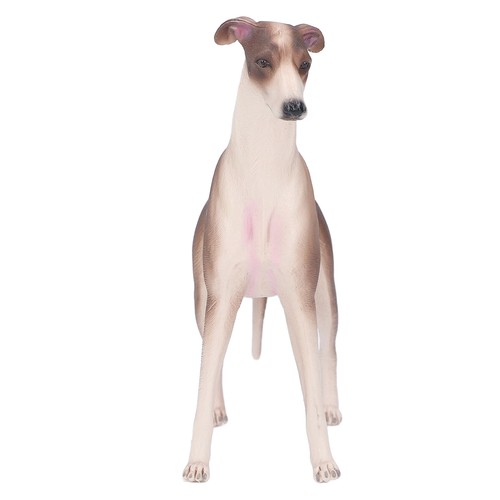 Realistic greyhound figure - —realistic,