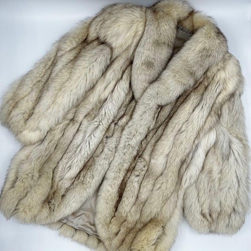 Saga fox blue - fox,