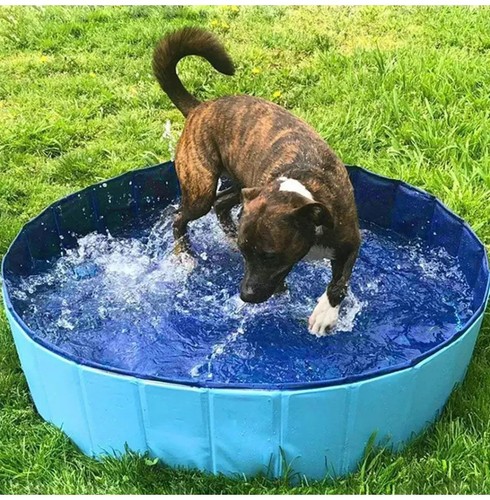 Large pet bath dog - bath, swimming