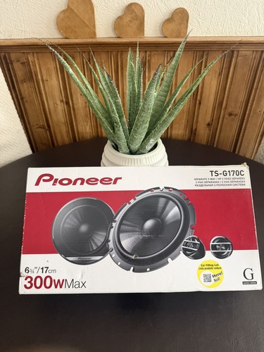 Pioneer g170c 600 watts - ts-g170c,