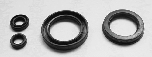 Tourmax engine oil seal - tourmax,