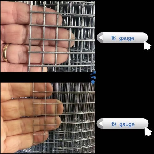 Welded chicken wire - mesh, rolls