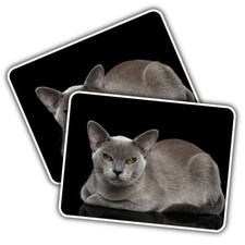 2x Vinyl Sticker Burmese Cat