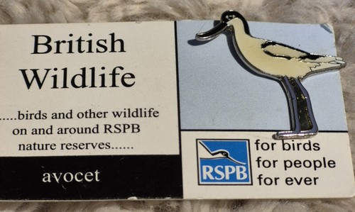 Rspb bird pin badge - pin,