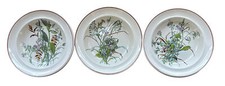 Rare Copeland Antique Set Of 5 Botanical Bowls 3 Different Designs
