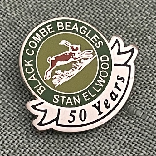 Black combe beagles - combe, stan