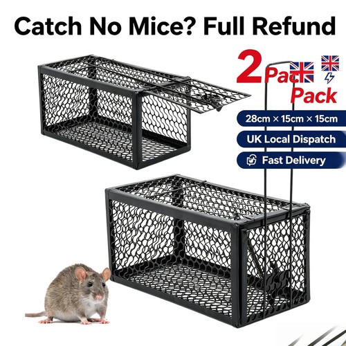 Pack rat trap - 2, mouse