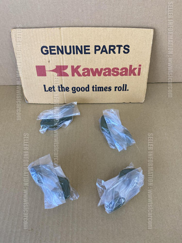 Kawasaki ninja 10r - kawasaki,