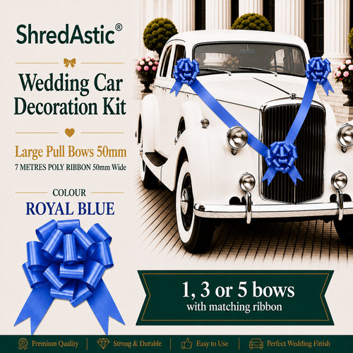 Shredastic wedding car - wedding,