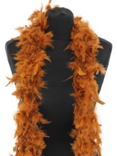 Beautiful Rich Gold Feather