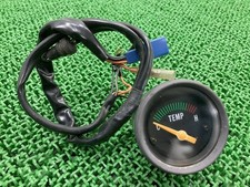 RG250 Gamma Water Temperature