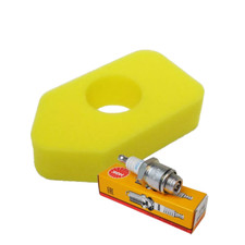 Air Filter Spark Plug Service