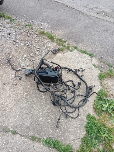 Ford focus st170 engine bay - st170,