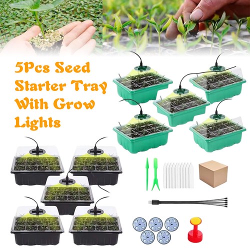 5pack seed starter - trays, with